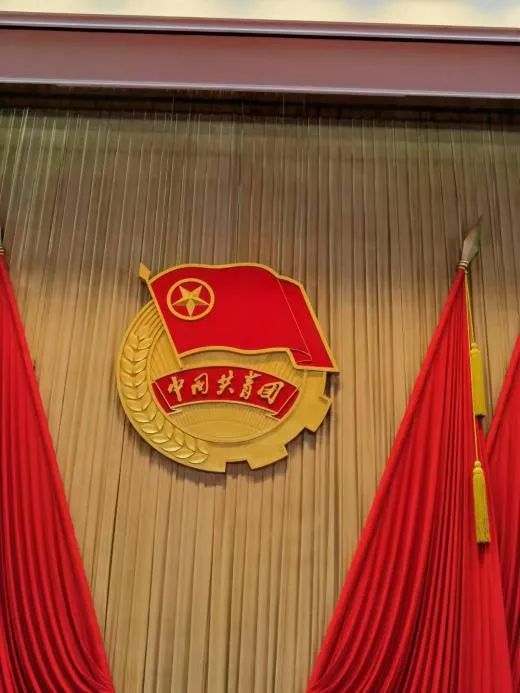 1655954269153310dBCk.jpeg xmyeditor_8.jpeg